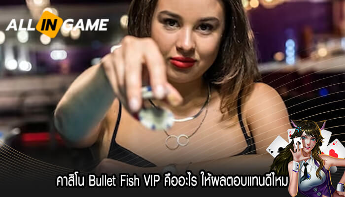 คาสิโน Bullet Fish VIP คืออะไร ให้ผลตอบแทนดีไหม